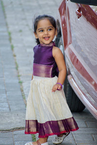 Silk Bordered Cotton Skirt And Purple Semi Silk Blouse