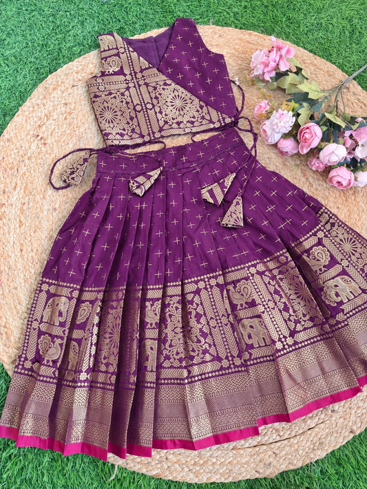 KALLANA Skirt And Angara Top  - Thick\Thin Border Skirt