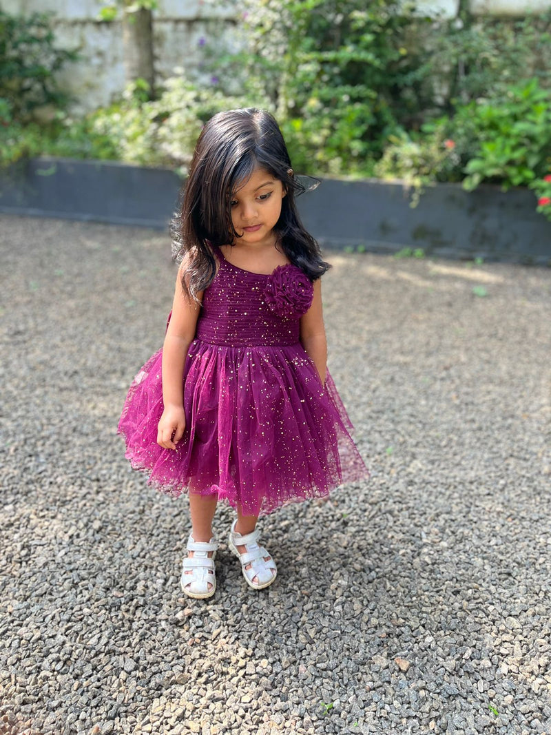 Party Wear / Birthday Frocks