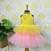 Party Wear / Birthday Frocks