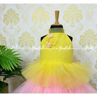Party Wear / Birthday Frocks