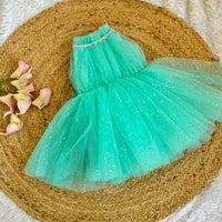 Party Wear / Birthday Frocks