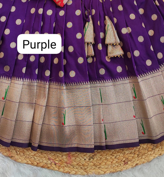 Paithani Ethnic Wear -5 Colors