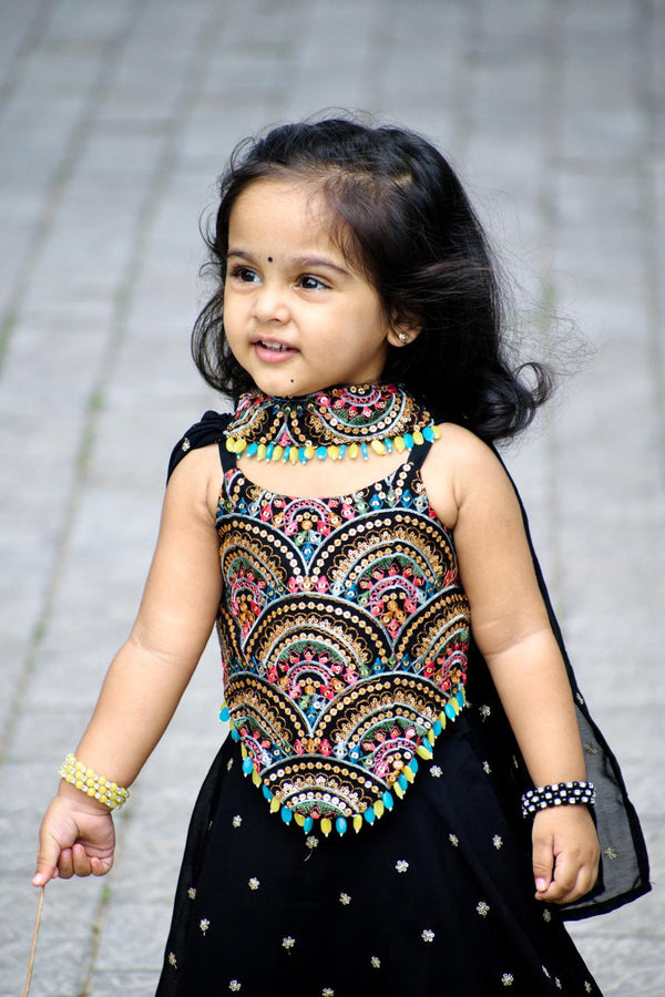 Self Embroidered Blouse And Georgette Umbrella Skirt
