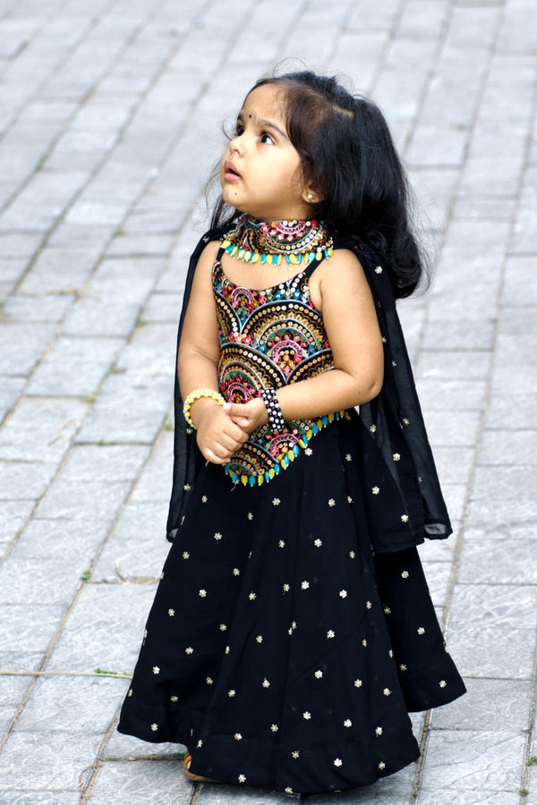 Self Embroidered Blouse And Georgette Umbrella Skirt