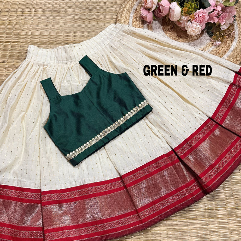 Silk Bordered Cotton Skirt And Semi Silk Blouse