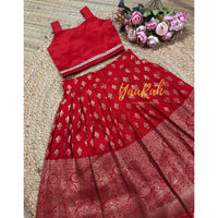 Dola Silk Skirt And Semi Silk Blouse