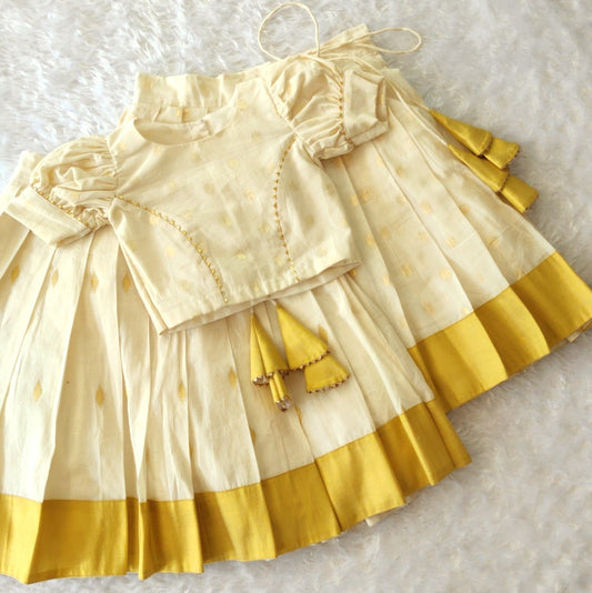 Handloom Skirt And Princess Cut Top