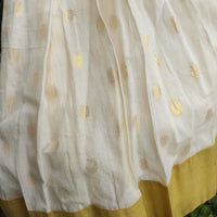 Handloom Skirt And Princess Cut Top