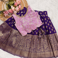 Dola Silk Light Weight Skirt Violet And Lavender Banarsi Silk Blouse