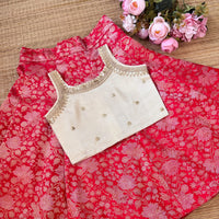 Banarsi Panel Silk Skirt With Viscous Tissue Blouse - 4 Skirt Color Options