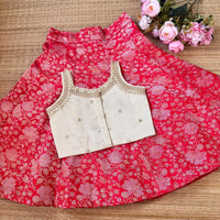 Banarsi Panel Silk Skirt With Viscous Tissue Blouse - 4 Skirt Color Options