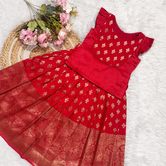 Dola Silk Light Weight Skirt And Red Dupion Silk Blouse - Long Top