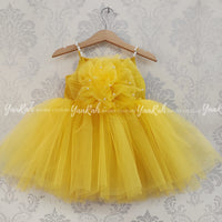 Party Wear / Birthday Frocks