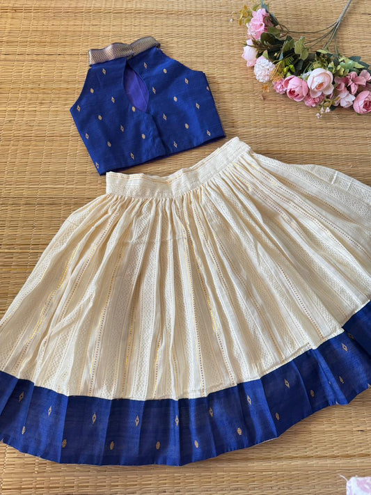 Dupion Silk Bordered Cotton Skirt And Dupion Silk Blouse -ROYAL BLUE