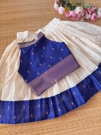 Dupion Silk Bordered Cotton Skirt And Dupion Silk Blouse -ROYAL BLUE