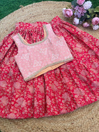 RED BANARSI SILK SKIRT AND BANARSI/VISCOUS TISSUE BLOUSE