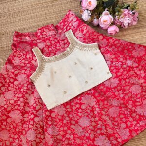 BANARSI PANEL SILK SKIRT WITH VISCOUS TISSUE BLOUSE - 4 SKIRT COLOR OPTIONS